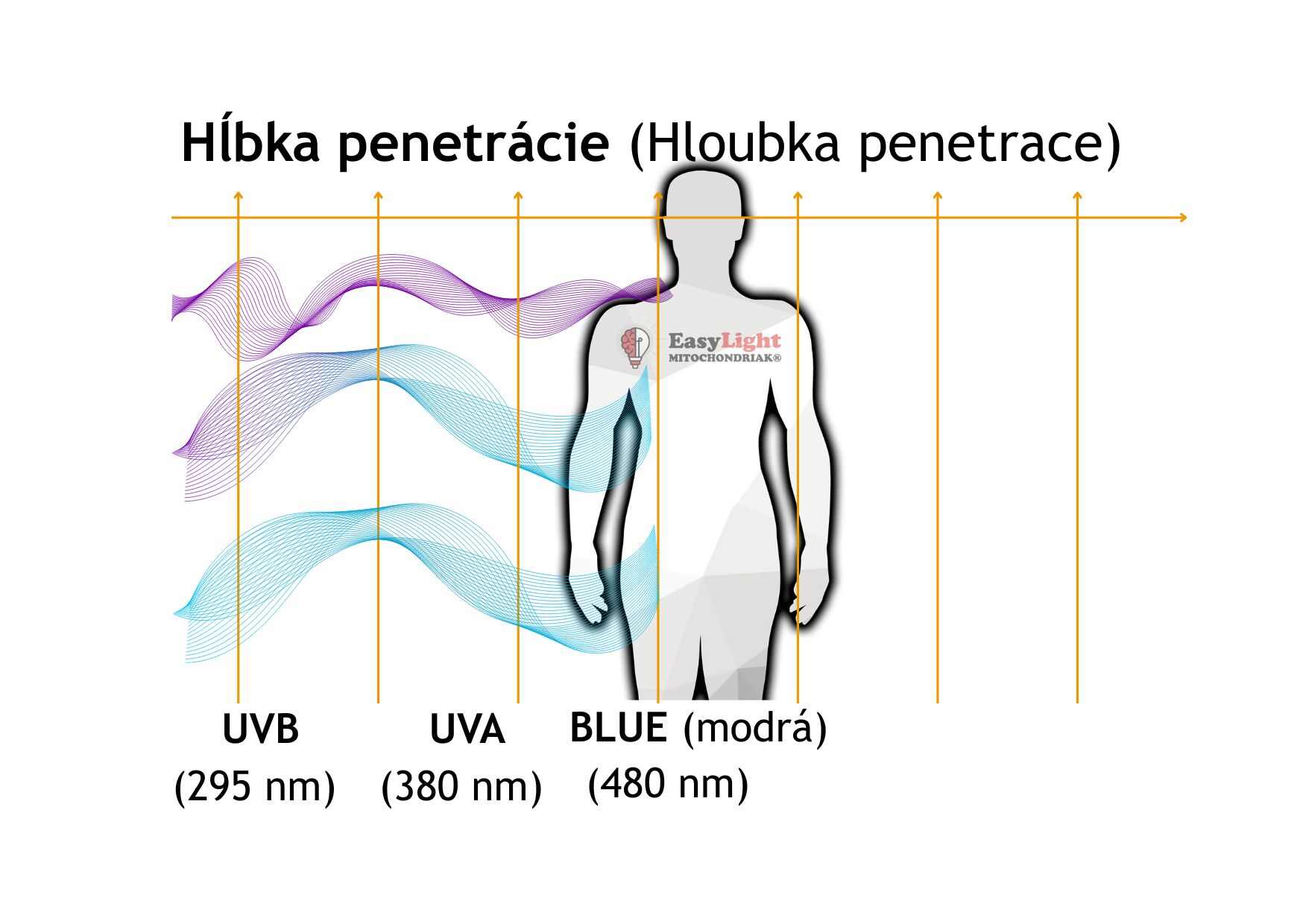 Maxi UVB, UV a modré spektrum 295, 380 a 480 nm, penetrácia do epidermy